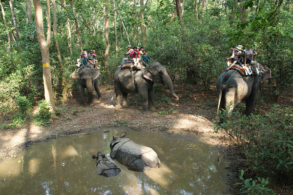 places-to-visit-in-nepal-Chitwan-National-Park
