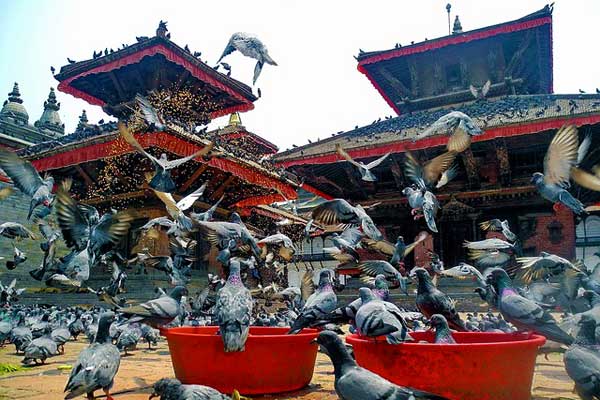 Nepal-Temples