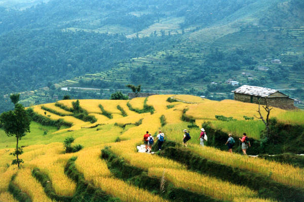 panchase trek from pokhara