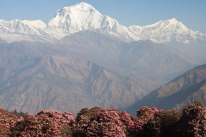 trekking-in-nepal-dhaulagiri