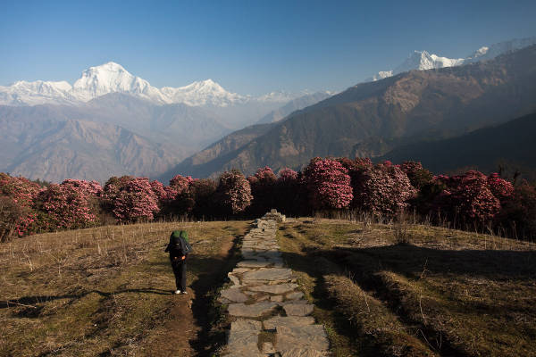 Dhaulagiri-Circuit-Trek-2