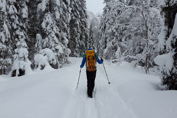 best-trekking-poles