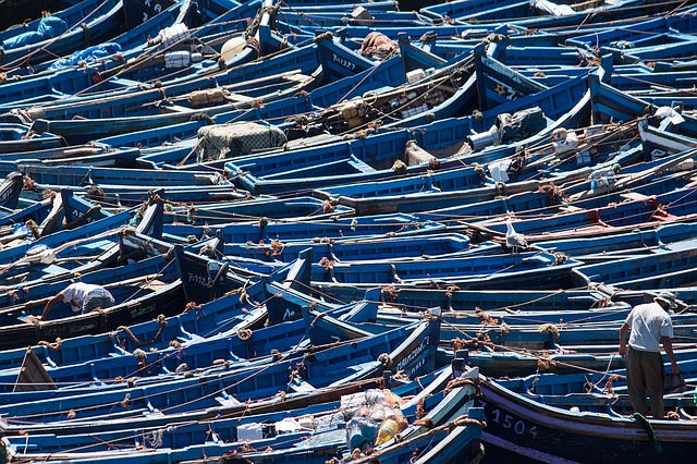 Trekking in Morocco Essaouira Blue Boats