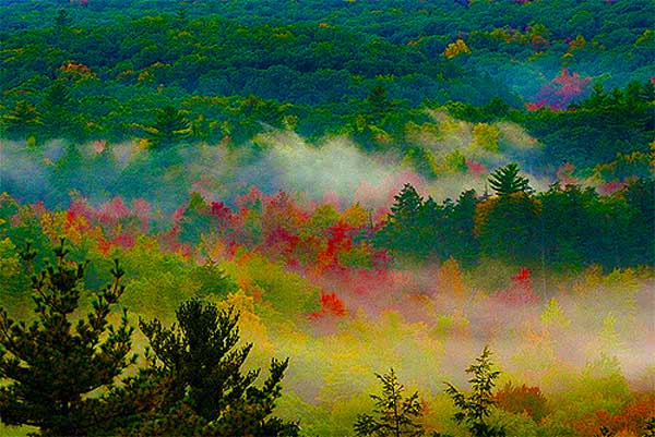 Appalachian-Trail-near-NYC