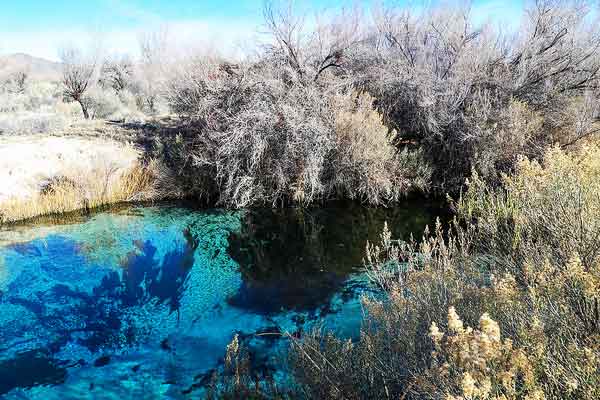 Crystal-Springs-Boardwalk-in-Ash-Meadows-Hiking-near-Las-Vegas