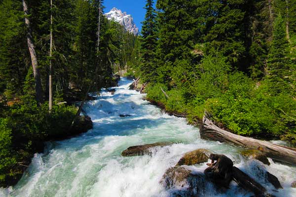 Hidden-Falls-Trail-Grand-Teton-Hikes