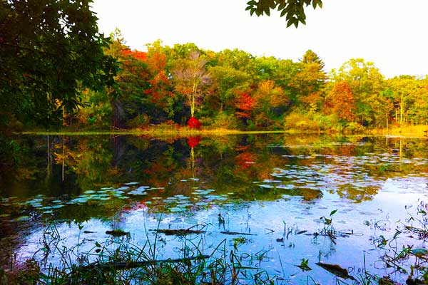 Hiking-near-Boston-Ipswich-River-Wildlife-Sanctuary