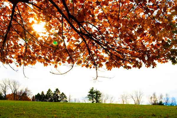 Hiking-near-Boston-Ward-Reservation