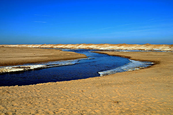 Indiana Dunes State Park