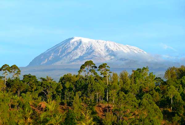 Kilimanjaro-in-January Kilimanjaro-in-January