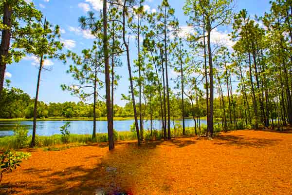 Prairie-Lakes-Loop-Florida