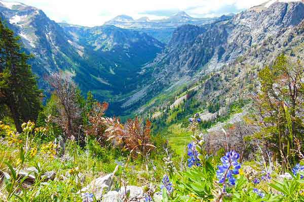 Static-Peak-Divide-Grand-Teton-Hikes
