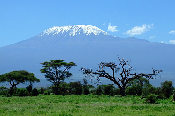 Kilimanjaro