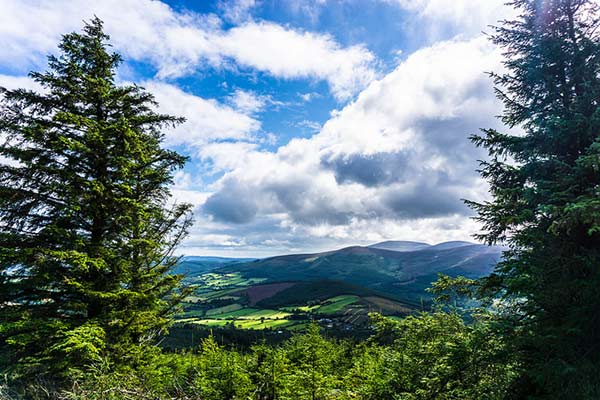 Wicklow Way Ireland