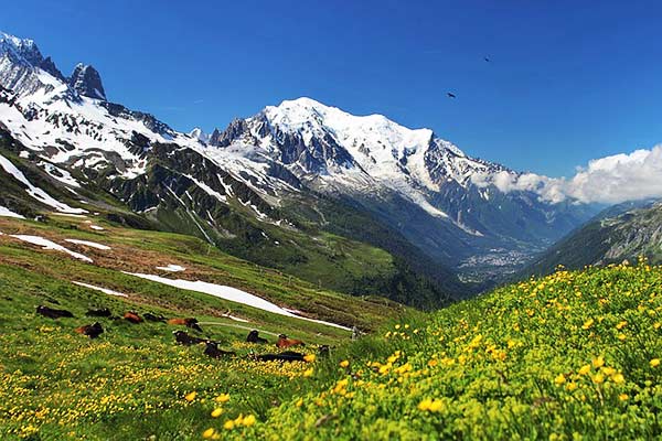 mont blanc france