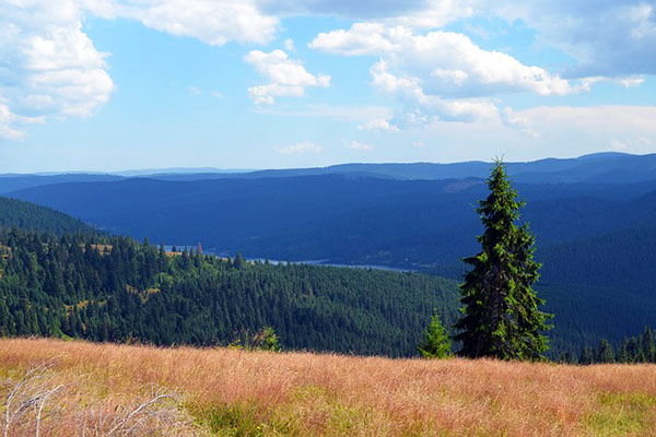 trek romania