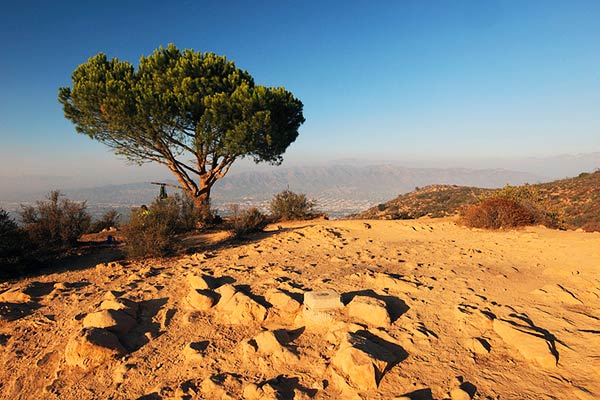 Burban Peak LA