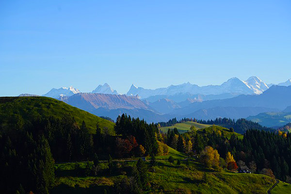 Bernese Alps Swiss