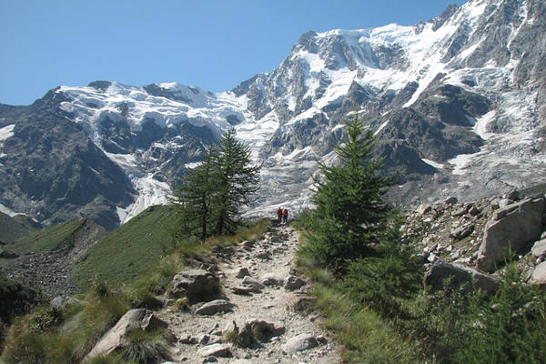 monte rosa