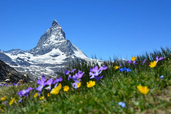 swiss alps