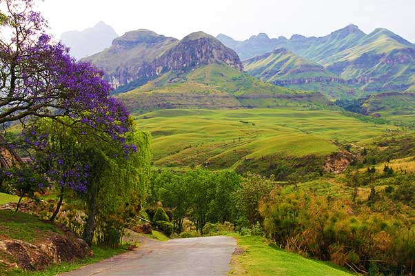 Cathedral-Peak-Drakensberg