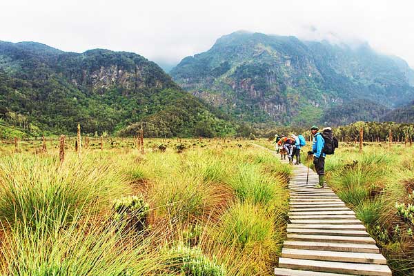 Margherita-Peak-Rwenzori