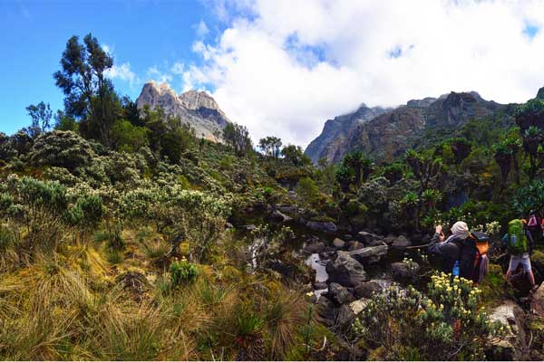 Mount-Baker-Rwenzori