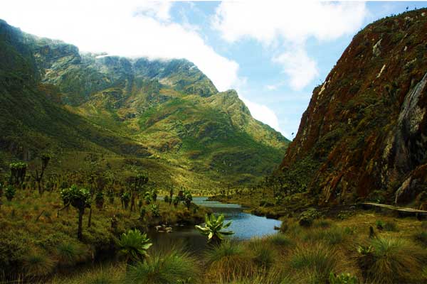 Mount-Gessi-Rwenzori