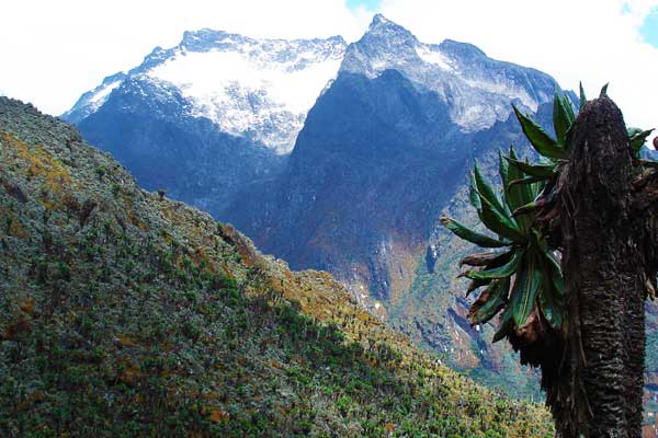 Mount-Speke-Rwenzori