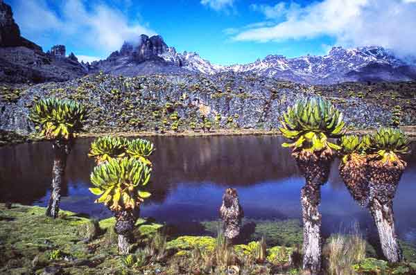 Point-Lenana-Sirimon-Route-Mount-Kenya