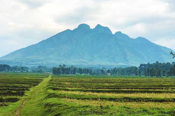 Virunga