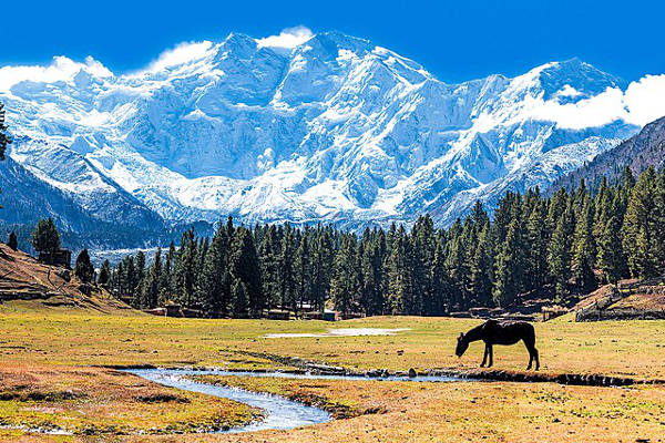 nanga parbat