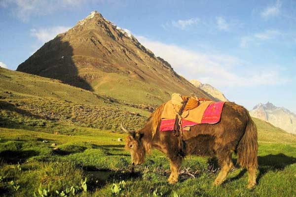 Baroghil-Pass-Eastern-Hindu-Kush-Asia