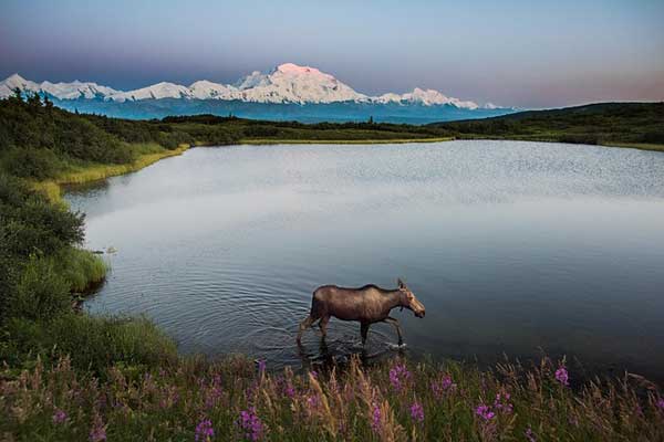 Denali-Alaska-Mountain-Range