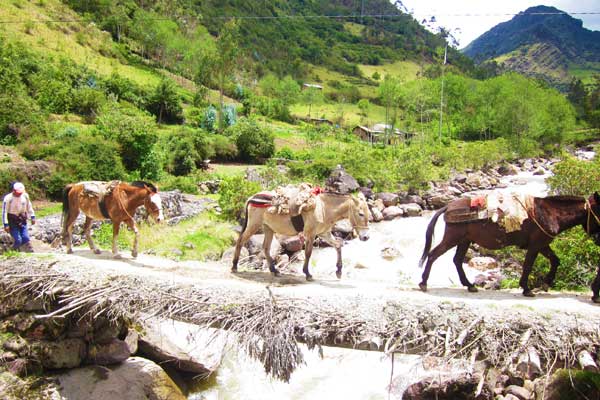 Salkantay-Trek-Machu-Picchu