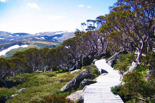 Kosciuszko-Walk-Australian-Alps