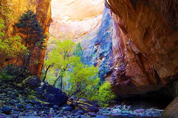 Narrows-Hike-Zion-in-USA