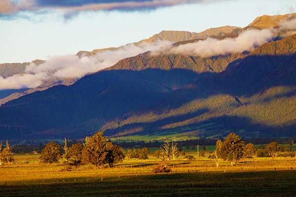 Southern-Alps-New-Zelaand-Plants-And-Wildlife