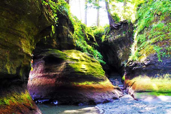 West-Coast-Trail-Canada-North-America