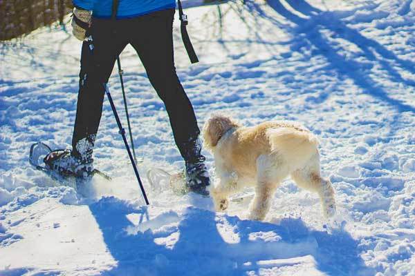 Best-Snowshoes