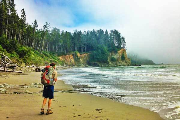 Best-hikes-in-Olympic-National-Park-Washington-USA