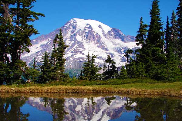 Mount-Rainier-Washington-North-America-Woods-image