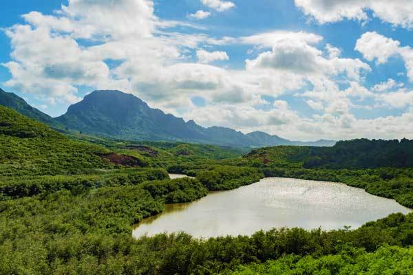 Nounou-Mountain-Trail-Kauai-Hawaii-USA