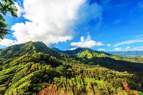 Okolehao-Trail-Kauai-Hawaii-USA