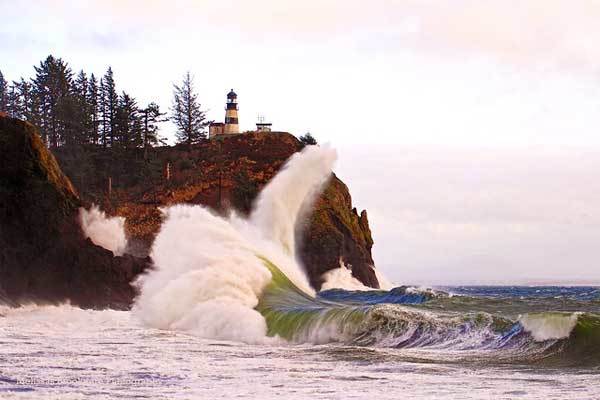 Cape-Disappointment-North-Head-Trail-Washington-USA