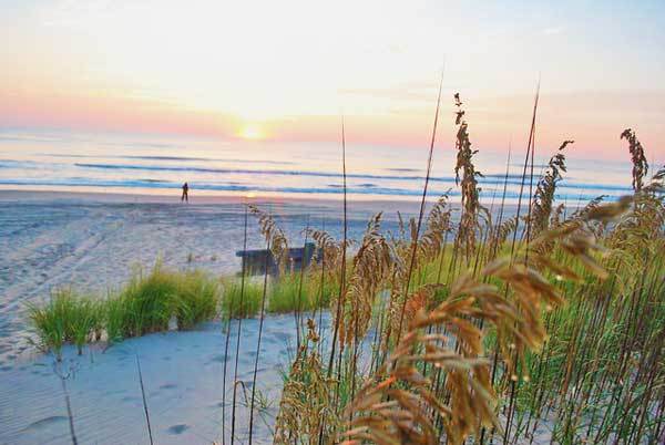 False-Cape-State-Park-Virginia-USA