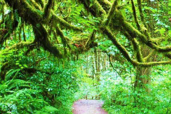 Lower-Macleay-Trailhead-Portland-Oregon-USA