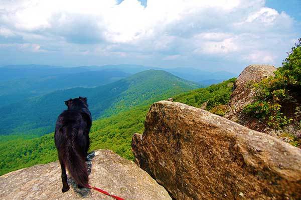 Mary's-Rock-virginia-USA