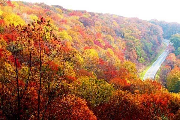 North-Carolina-hikes-appalachian-trail