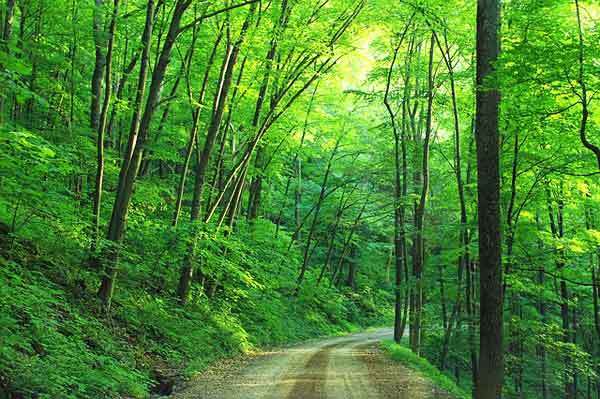 Pennsylvania-Hikes-appalachian-trail